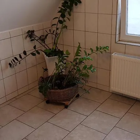 Schlafen An Der Fulda *